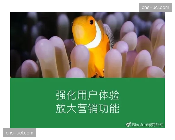 本季度，市场重心向体验倾斜 互动功能成为平台竞争关键